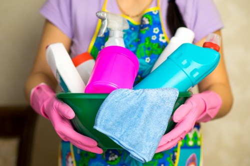 Professional carpet cleaning in a bright living room