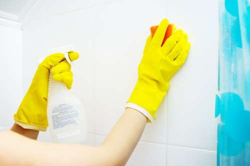 Cleaning a carpet stain for pet odour removal