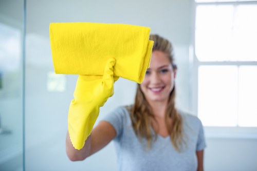 Different rug materials and cleaning needs