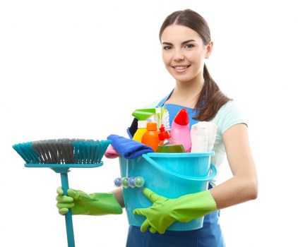 Deep cleaning carpet for pet stain odour removal