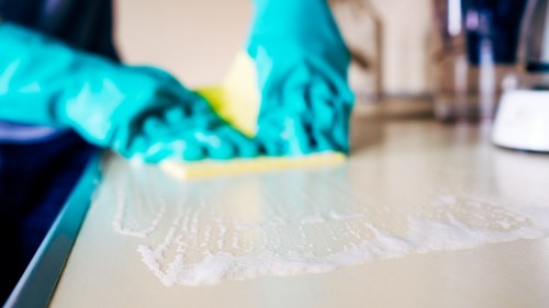 Blotting a fresh pet accident from upholstery